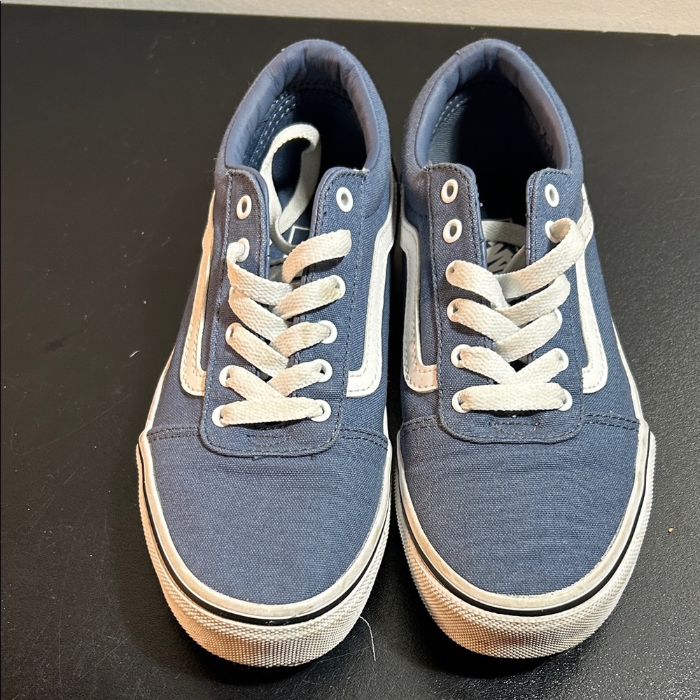 Vans Navy and White Canvas Shoes